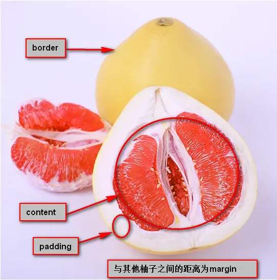 youzi