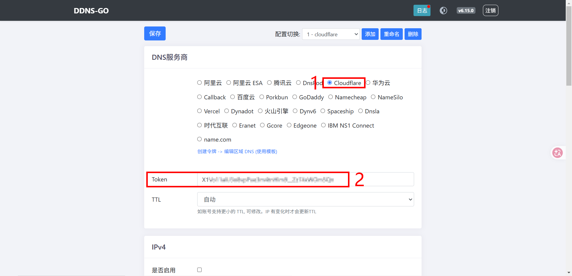 配置DNS服务商