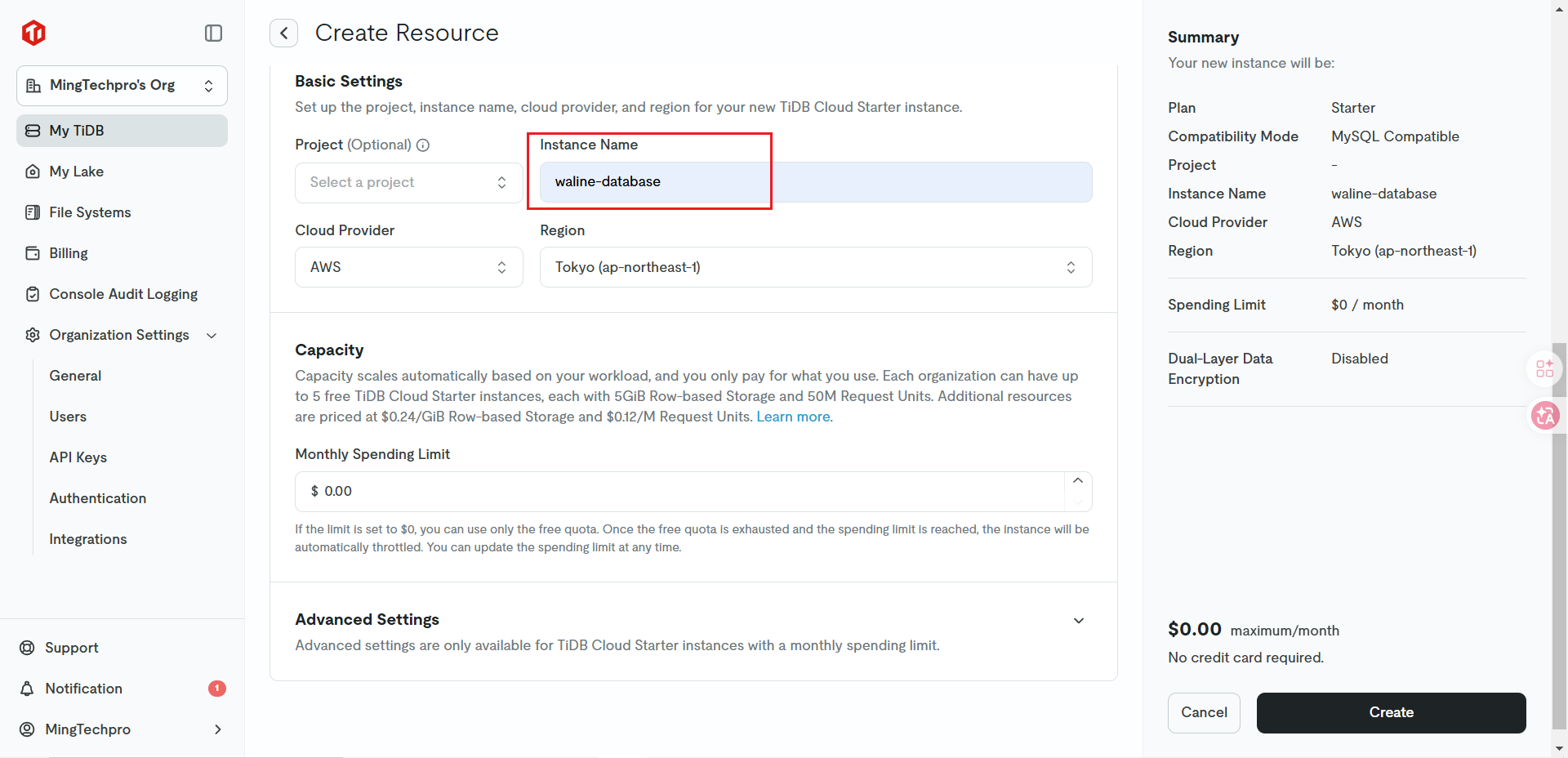 Instance Name