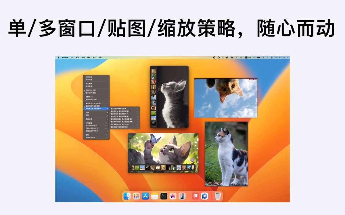 Picview截图5