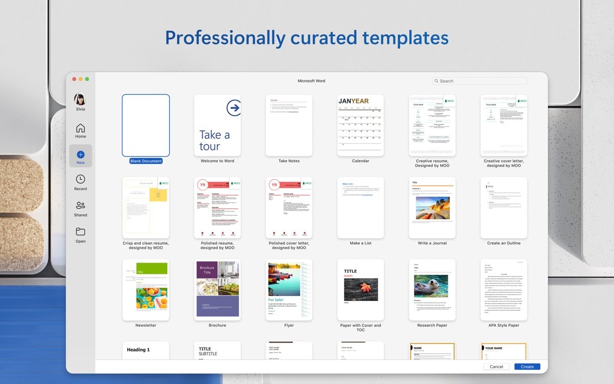 Microsoft Word 2024截图5