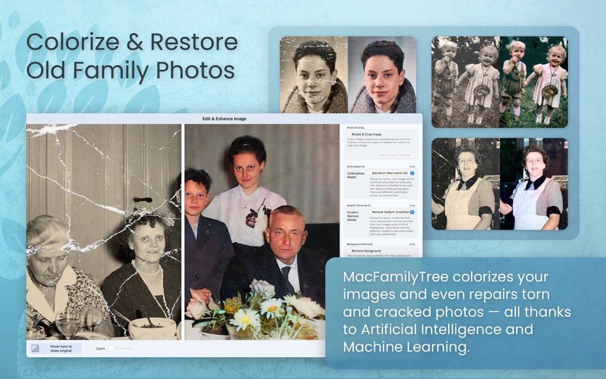 MacFamilyTree 11截图4