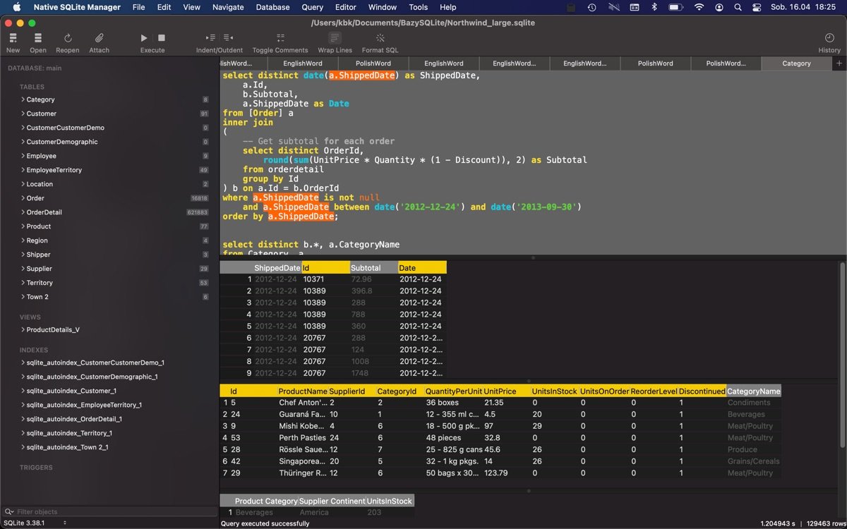 Native SQLite Manager截图2