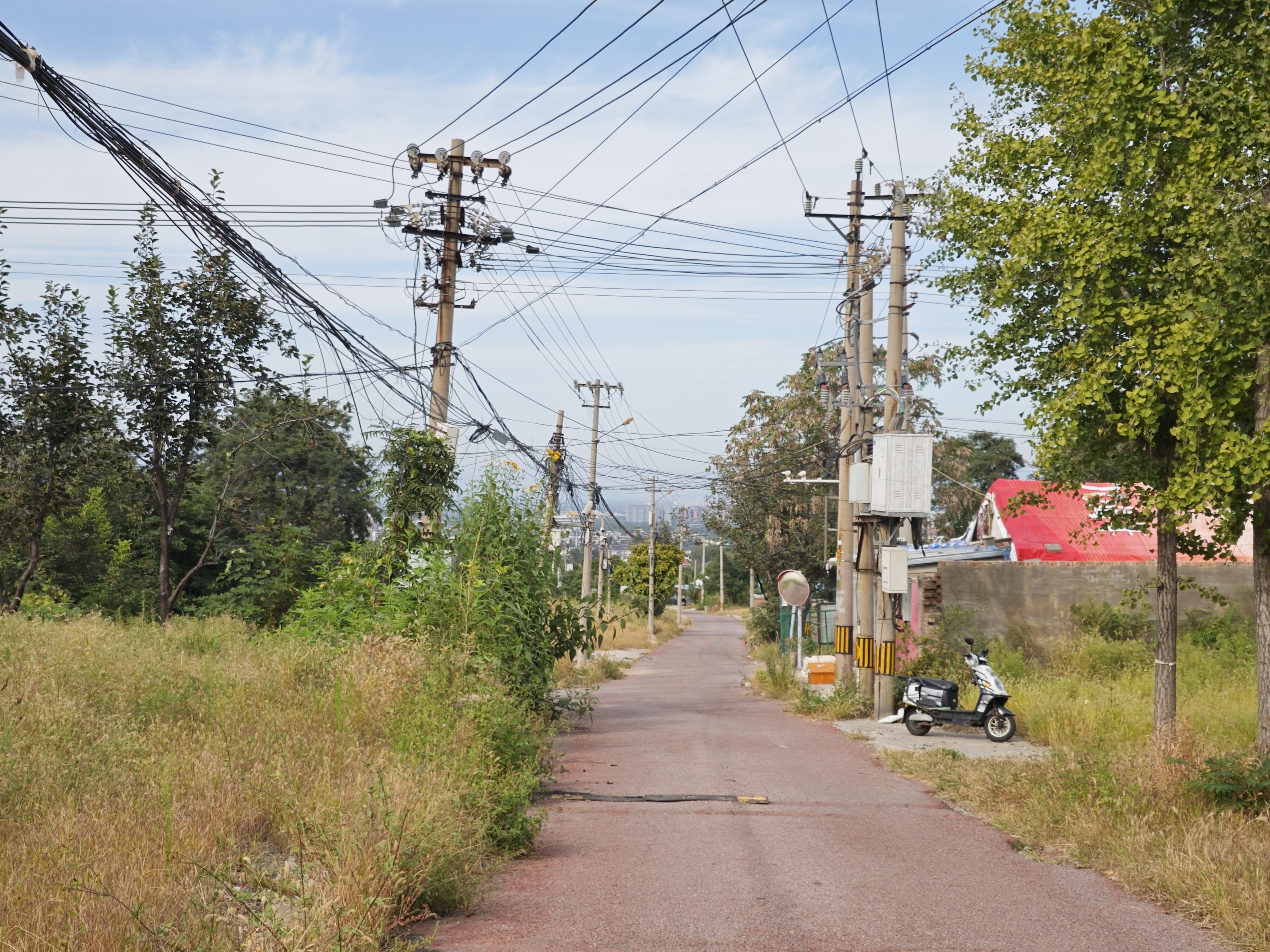 Cover Image of the Post