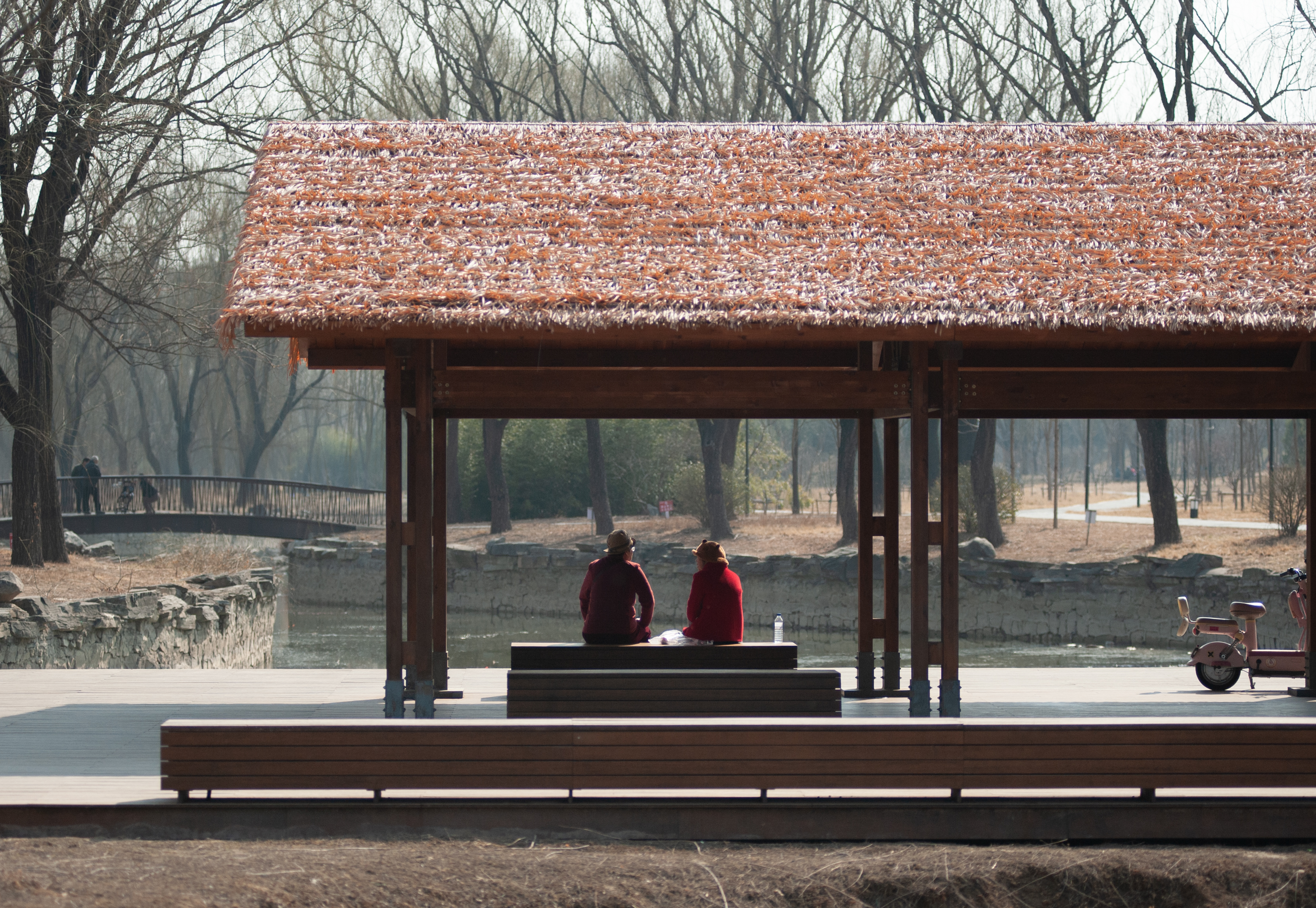Cover Image of the Post