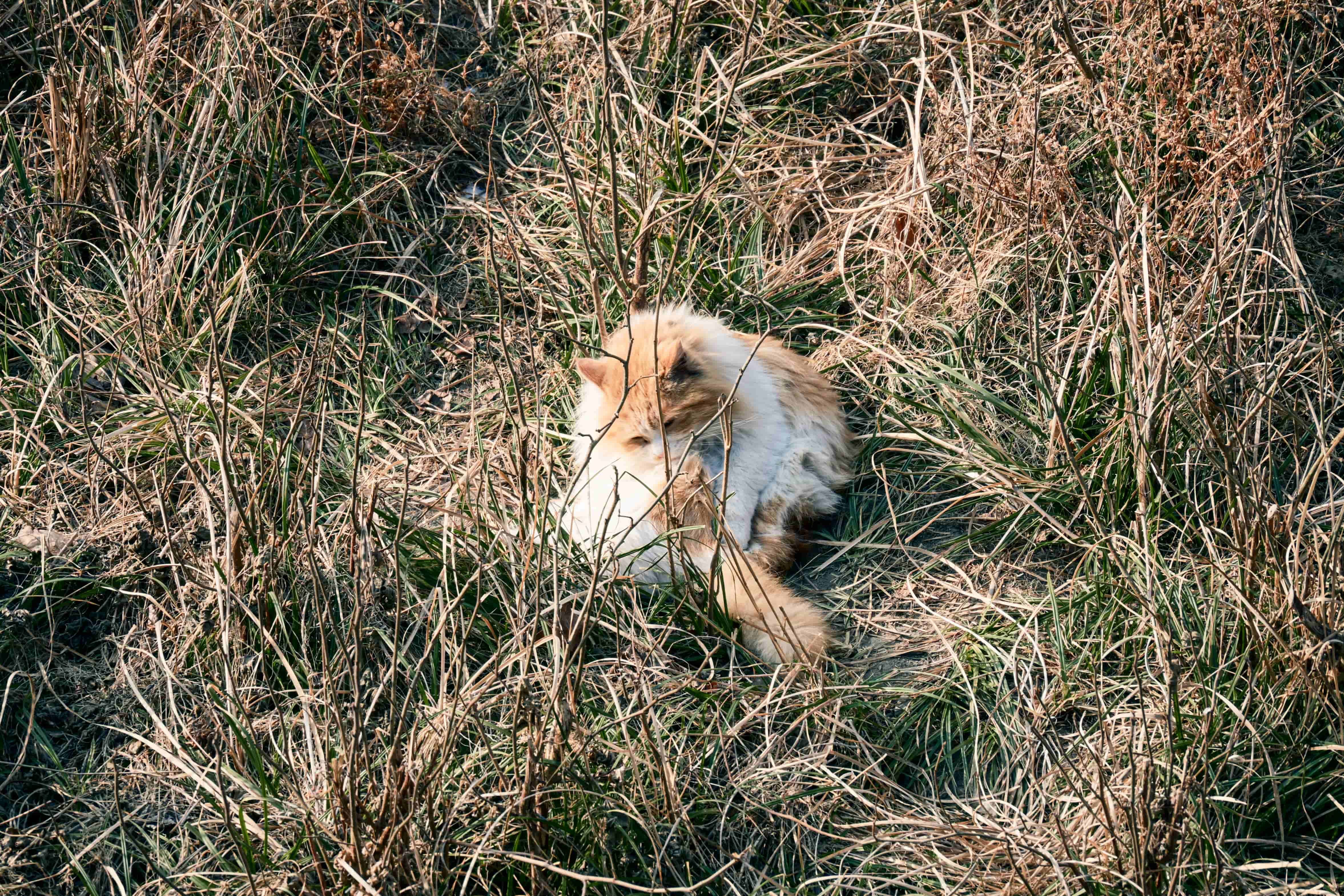 20260125-BEIIJING-L1CROX9K-q1tca-08