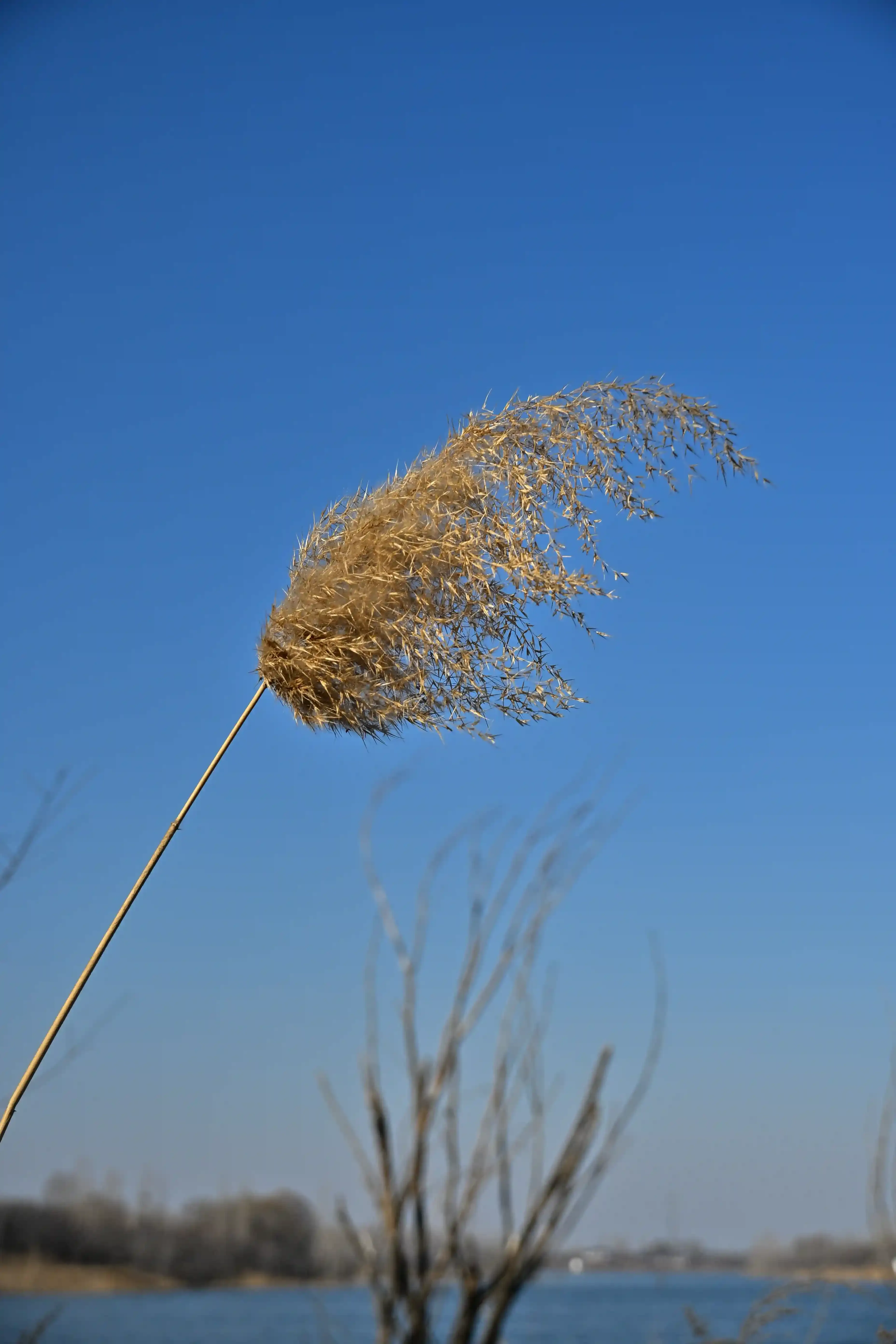 20260217-CUNZHUANG-5QJIK012-o91mx-005