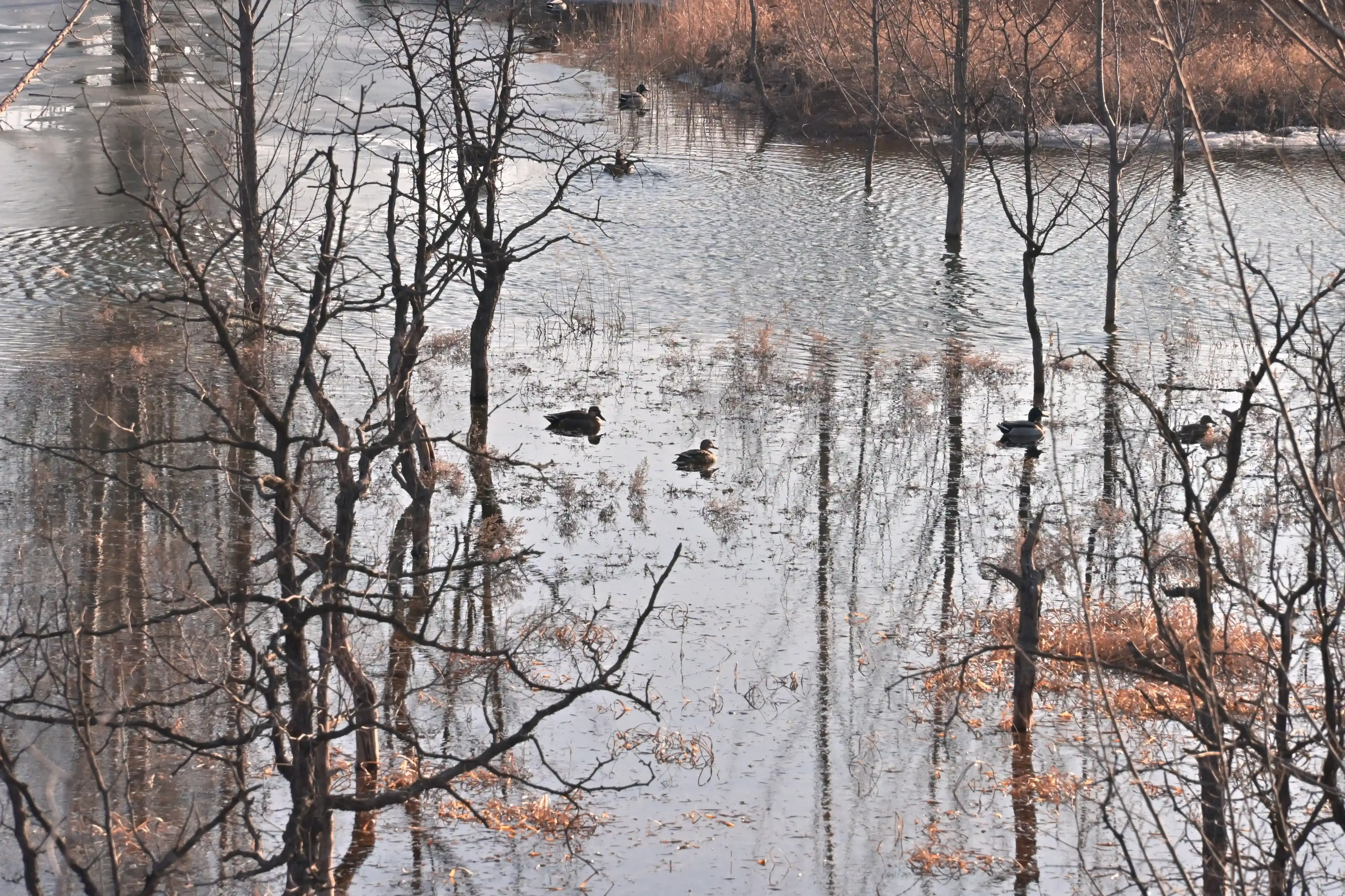 20260217-CUNZHUANG-ZYMVKONB-b0m0y-007