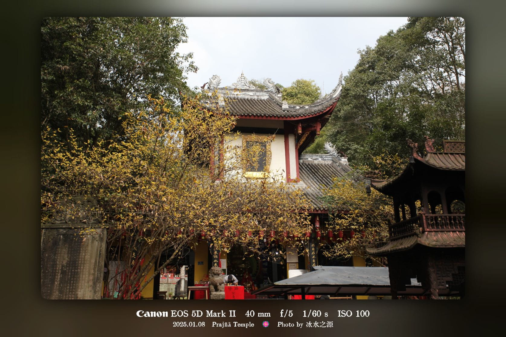 《雪儿与青青》第2章：香火之上，人心未静