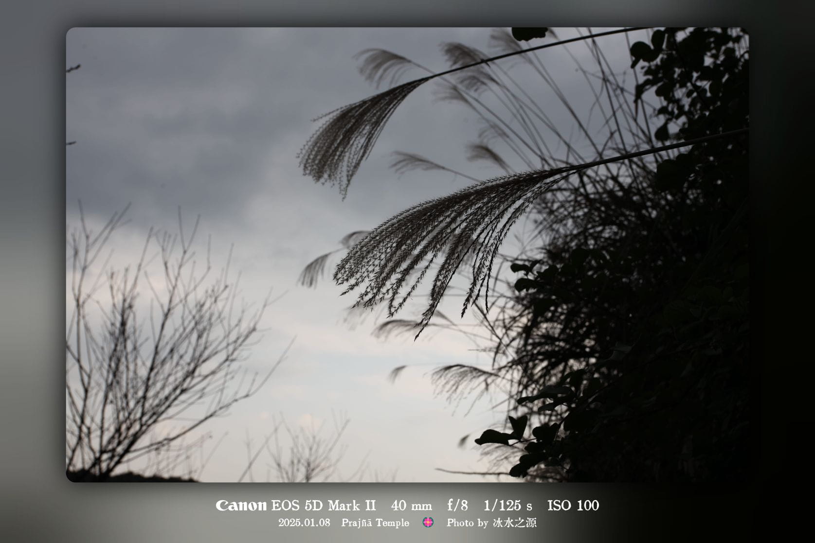 《雪儿与青青》第8章：一念之间