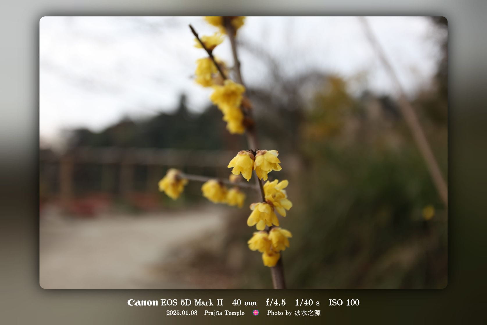 听水水讲：腊月团年