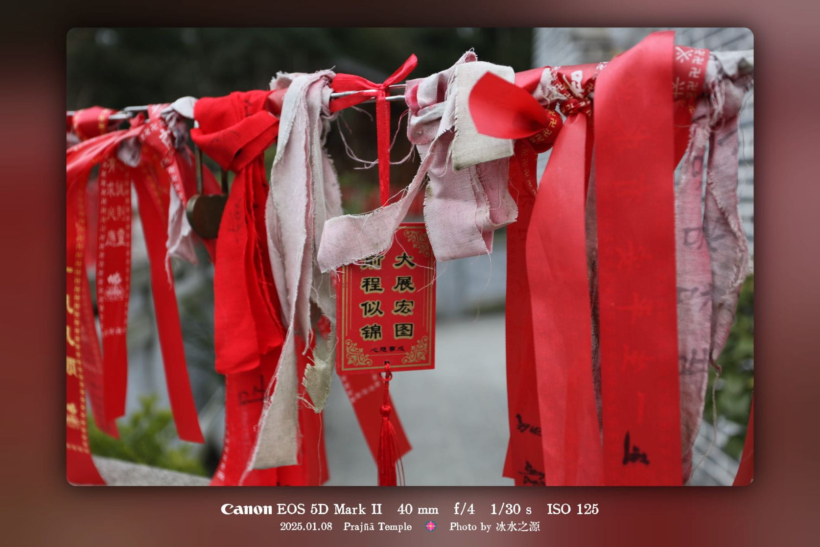 《雪儿与青青》第6章（下）：病中之夜