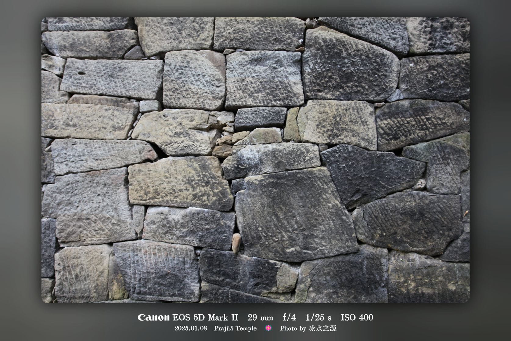 《雪儿与青青》第4章：一草一木，皆有她的温度