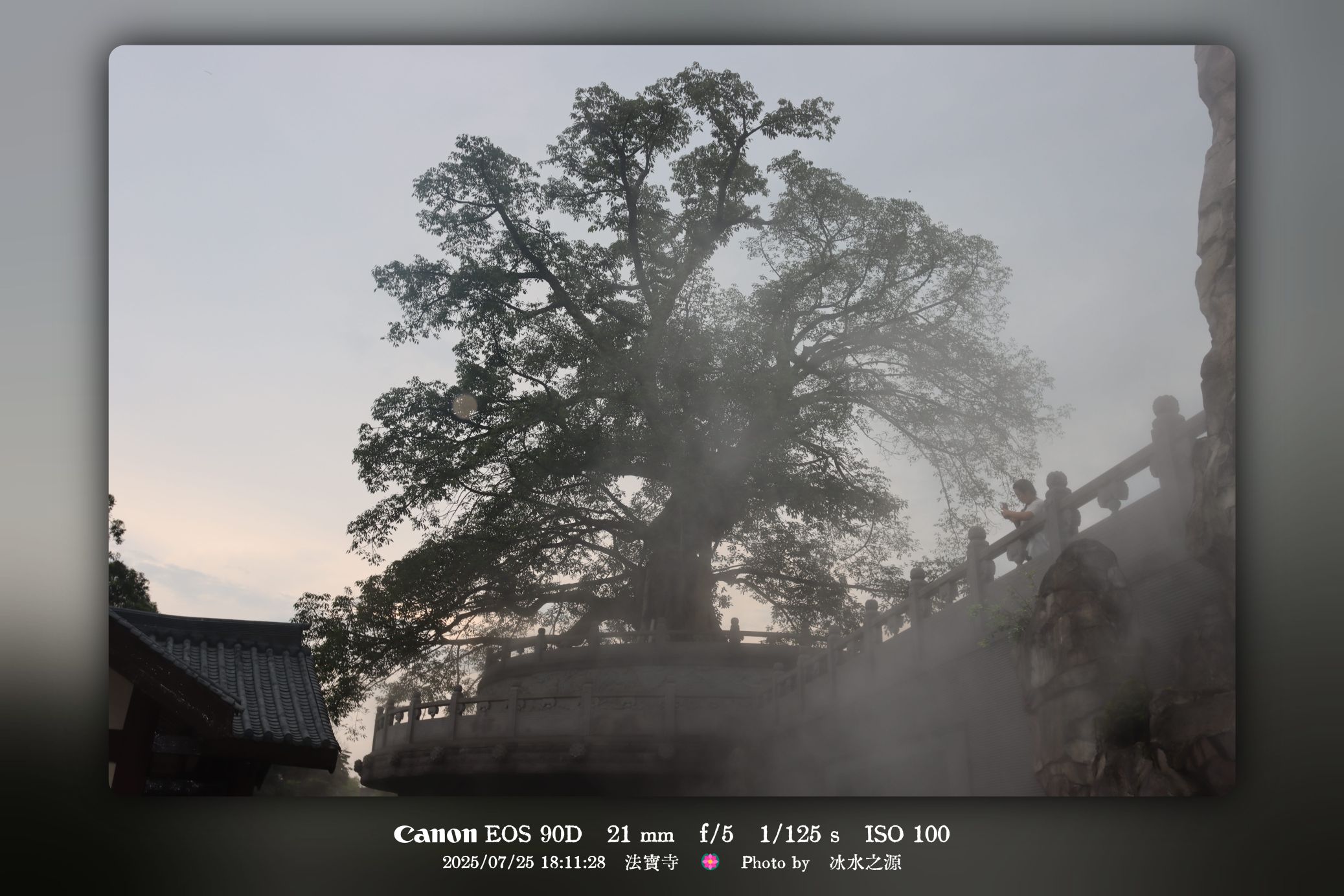 法宝寺·夏日影像