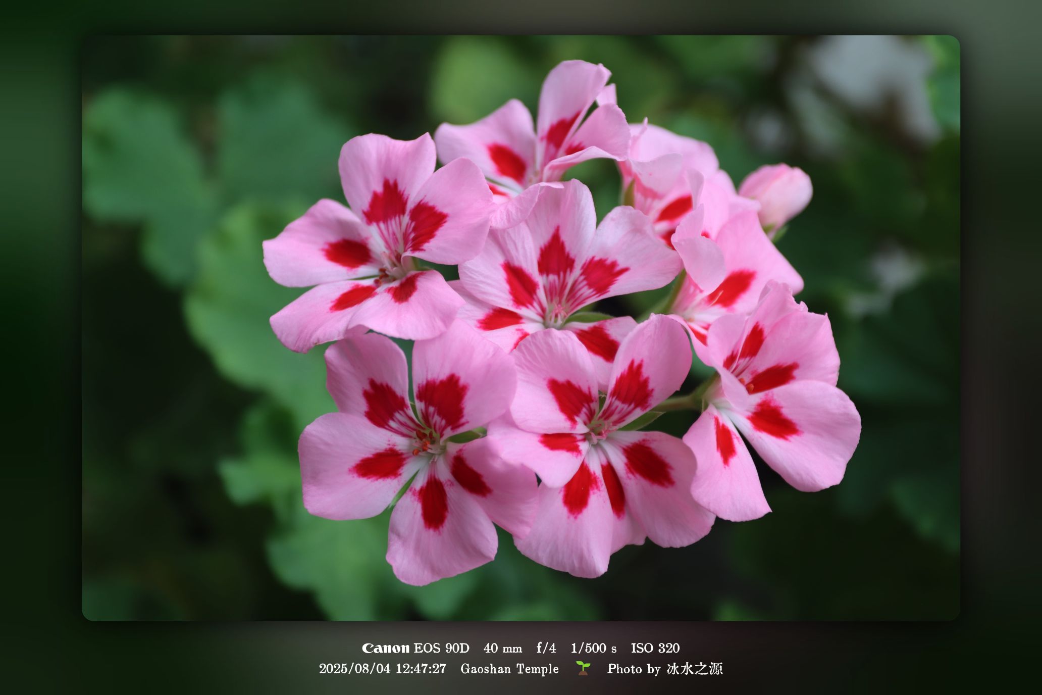 那一刻，我突然明白