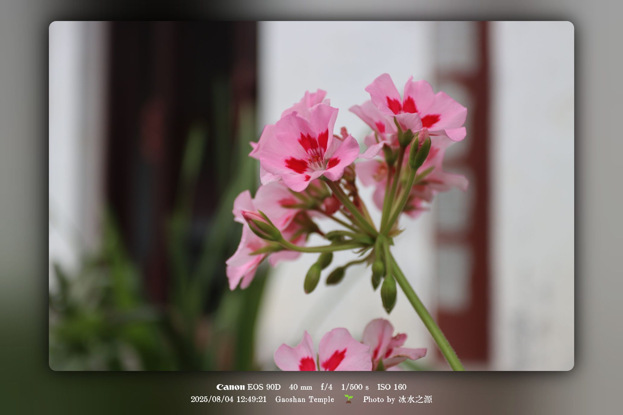 性修师父教化随笔