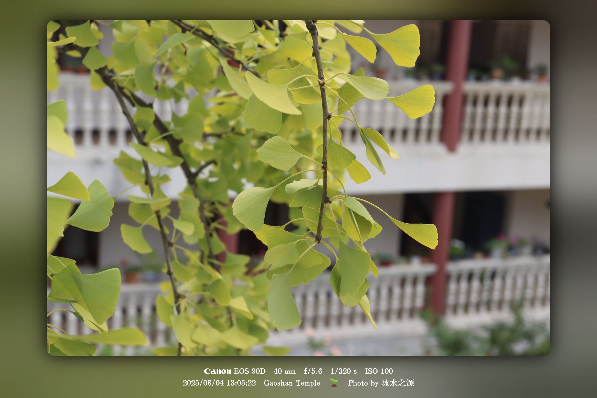 高山寺 · 清净影像