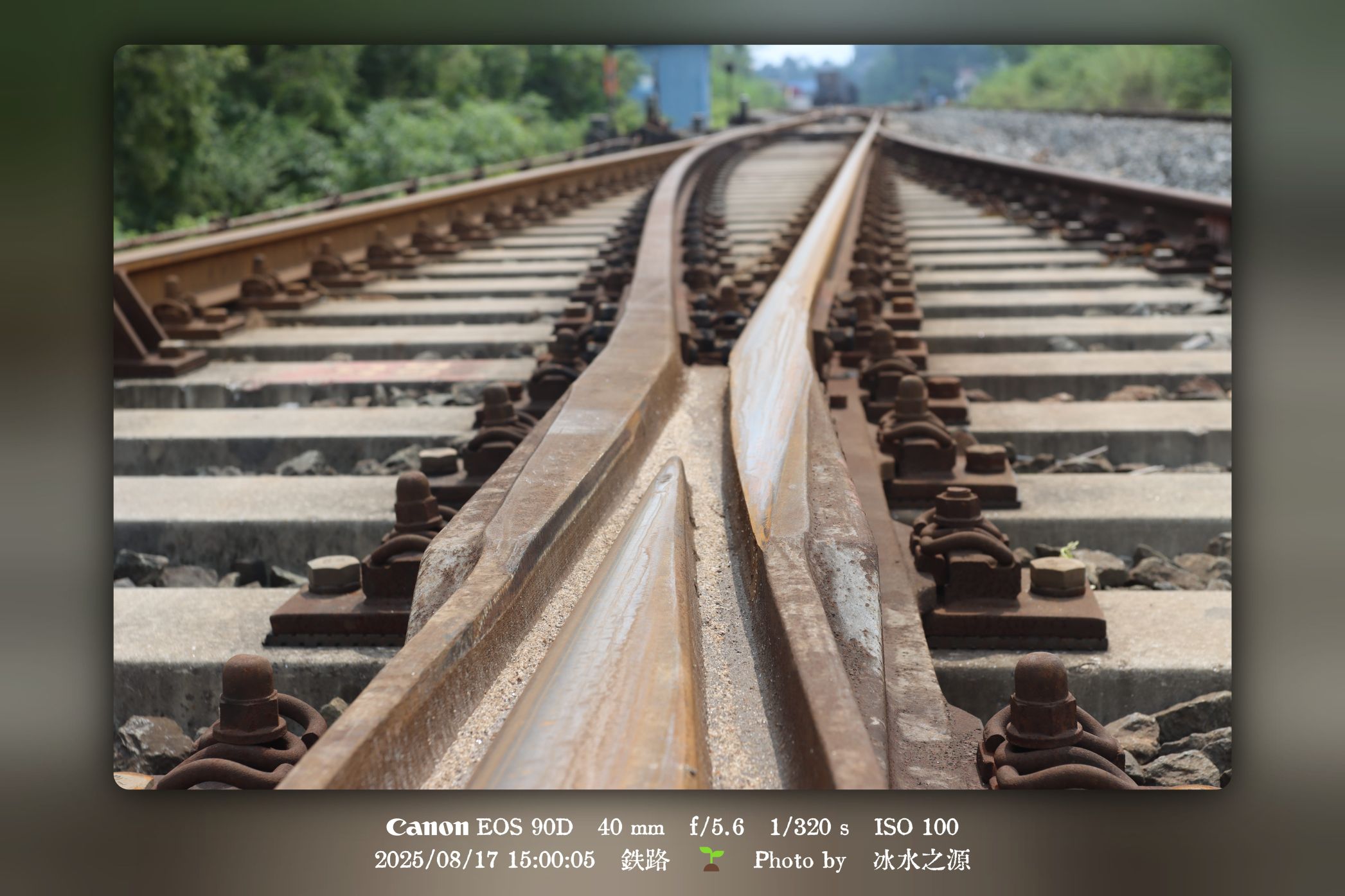 Cover Image of the Post