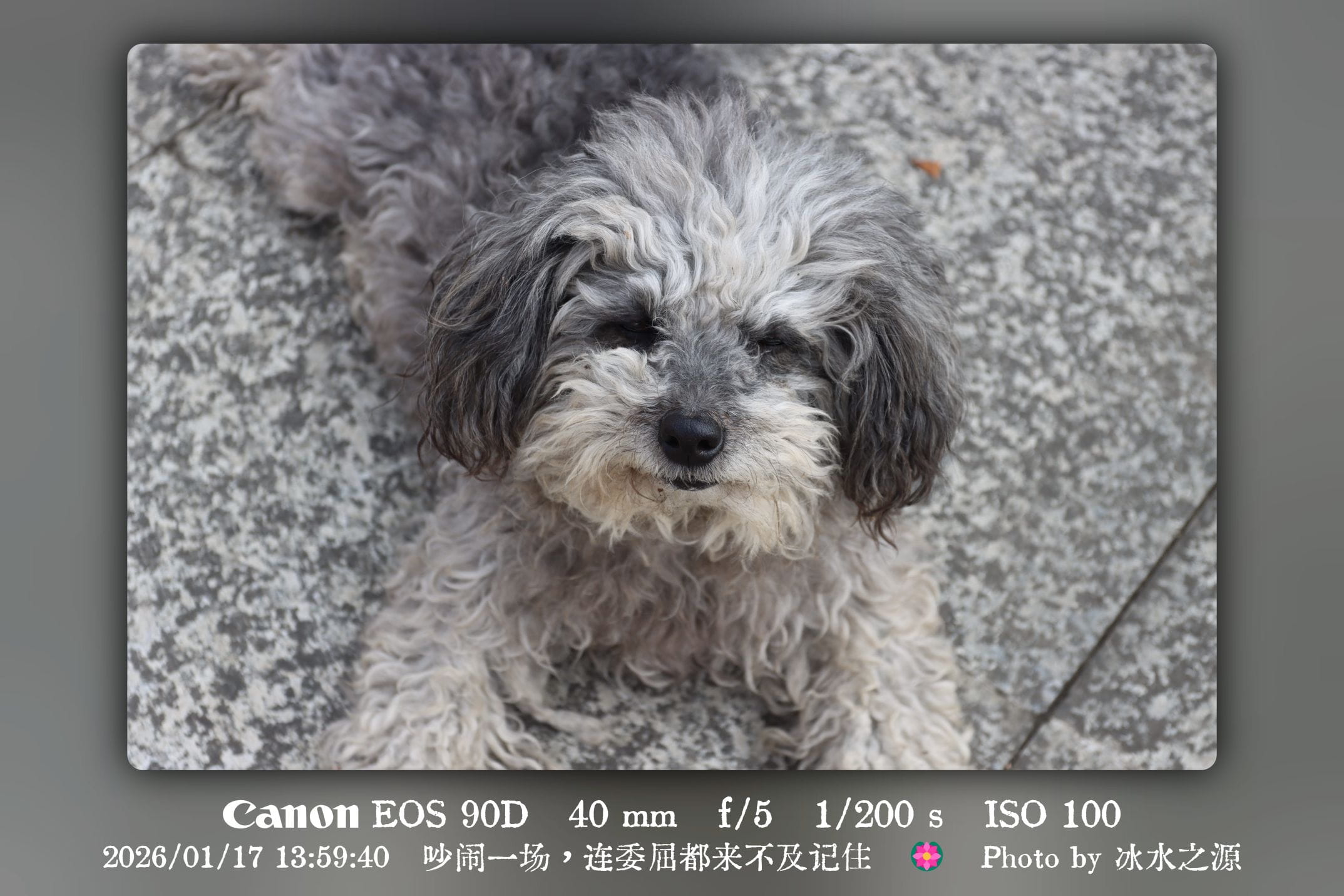 连委屈都来不及记住