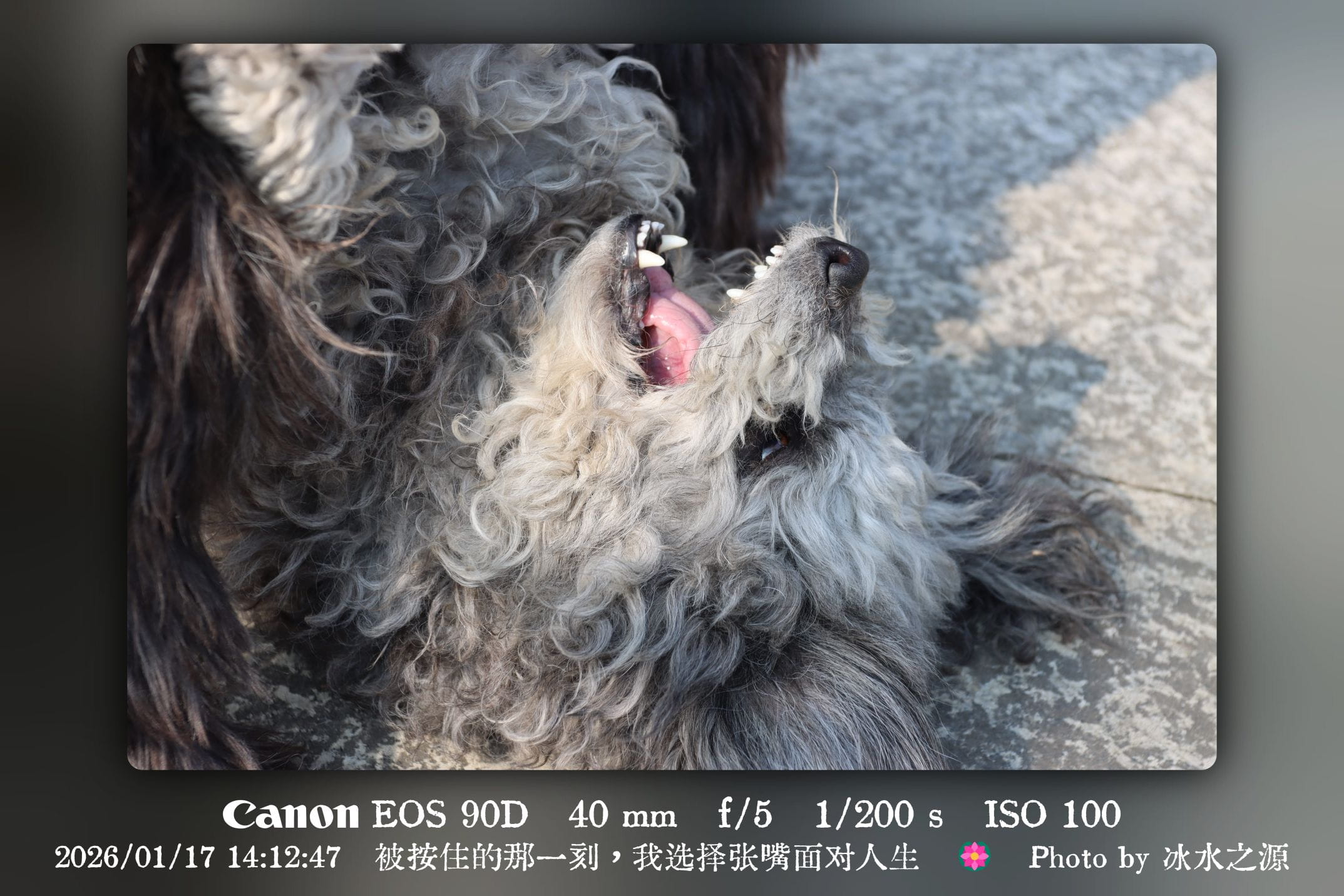 被按住的那一刻