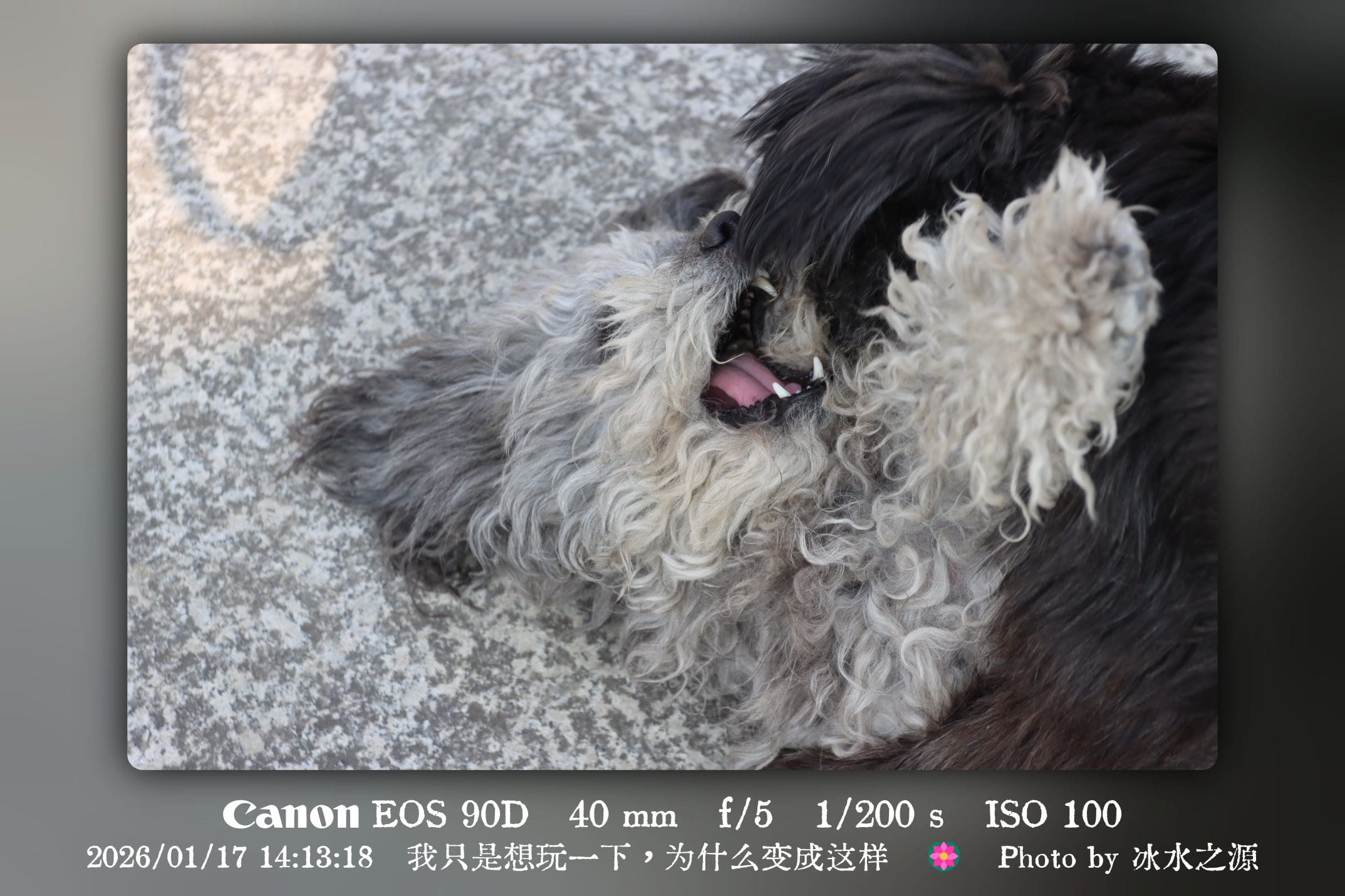 我只是想玩一下