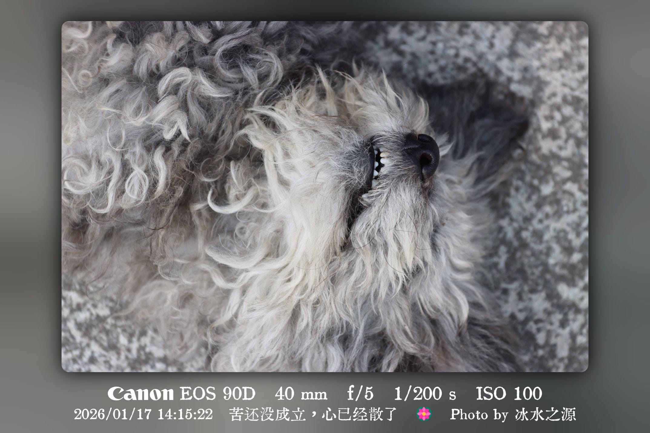 苦还没成立，心已经散了