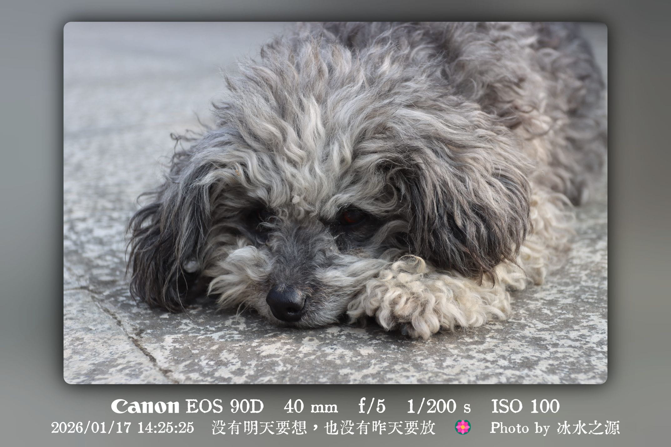 没有明天要想，也没有昨天要放