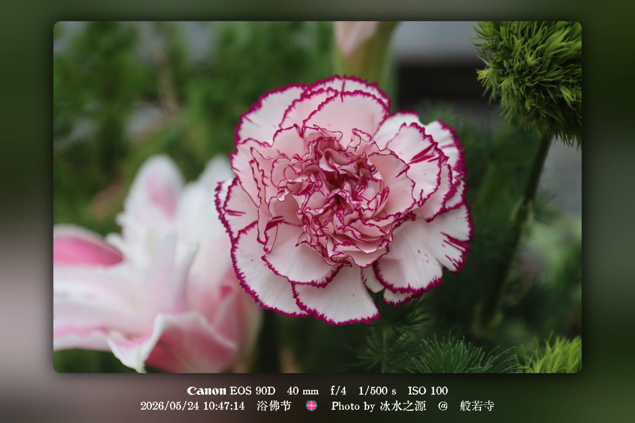 desktop wallpaper 4