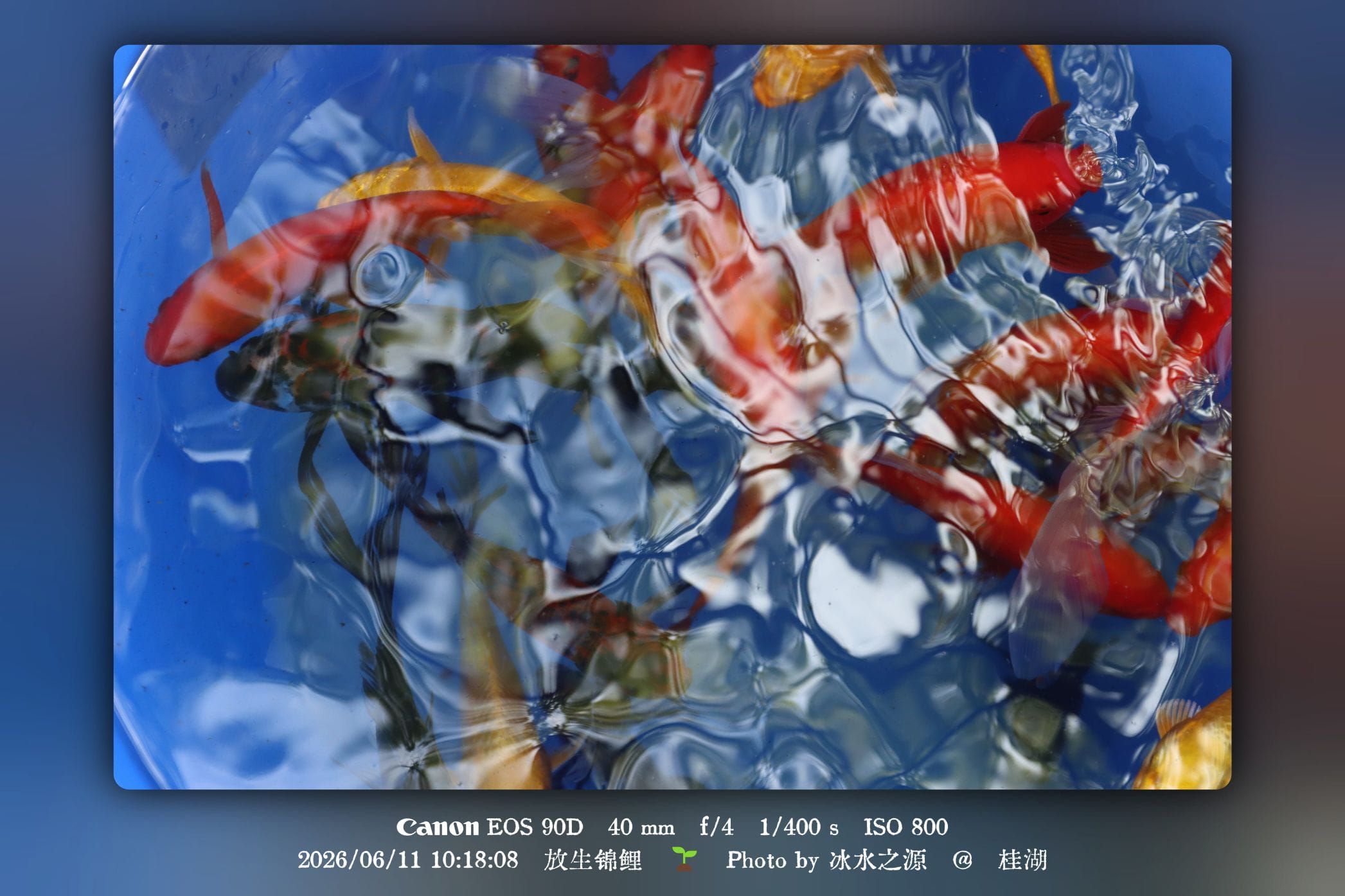 Cover Image of the Post