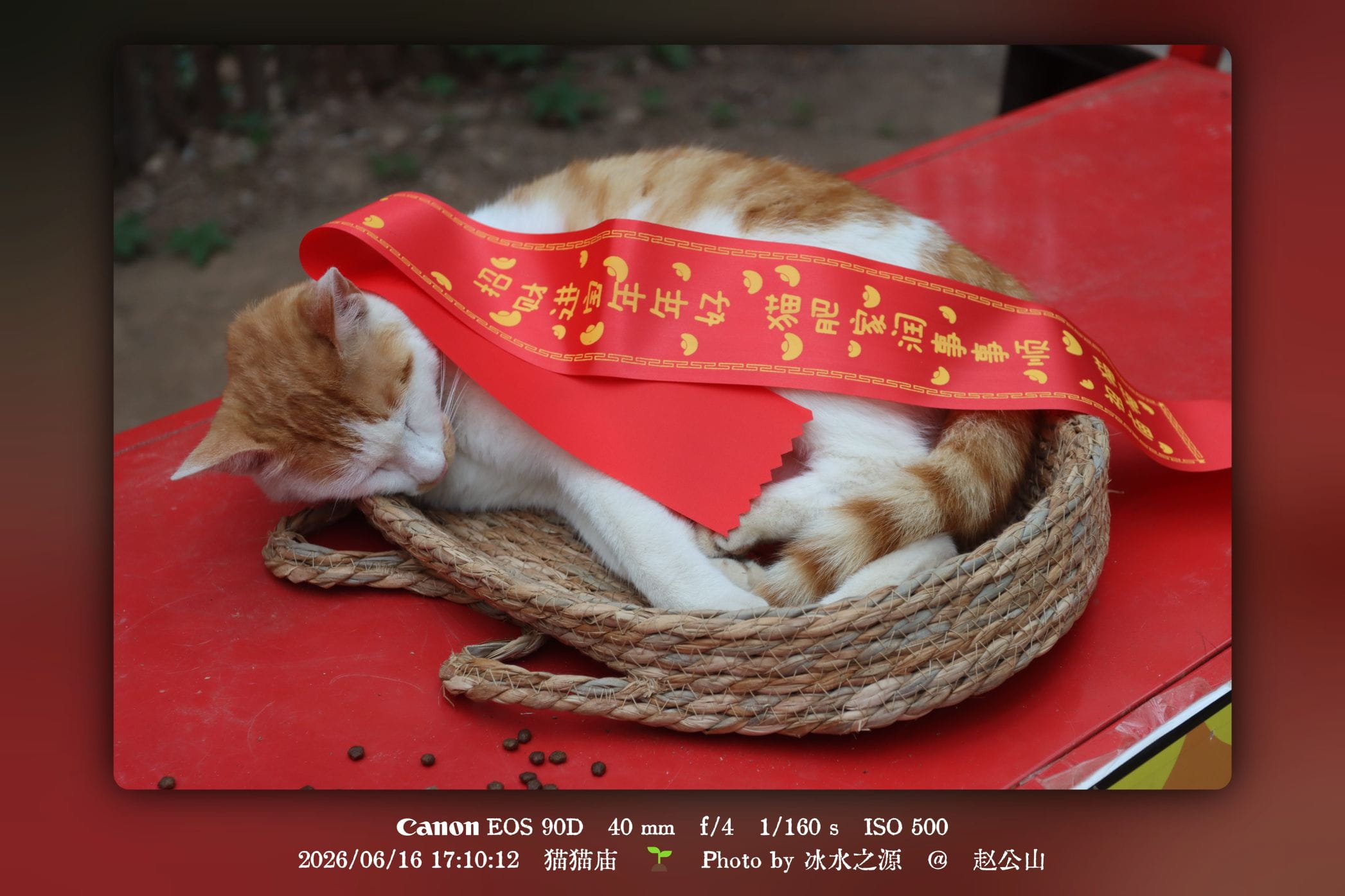 Cover Image of the Post