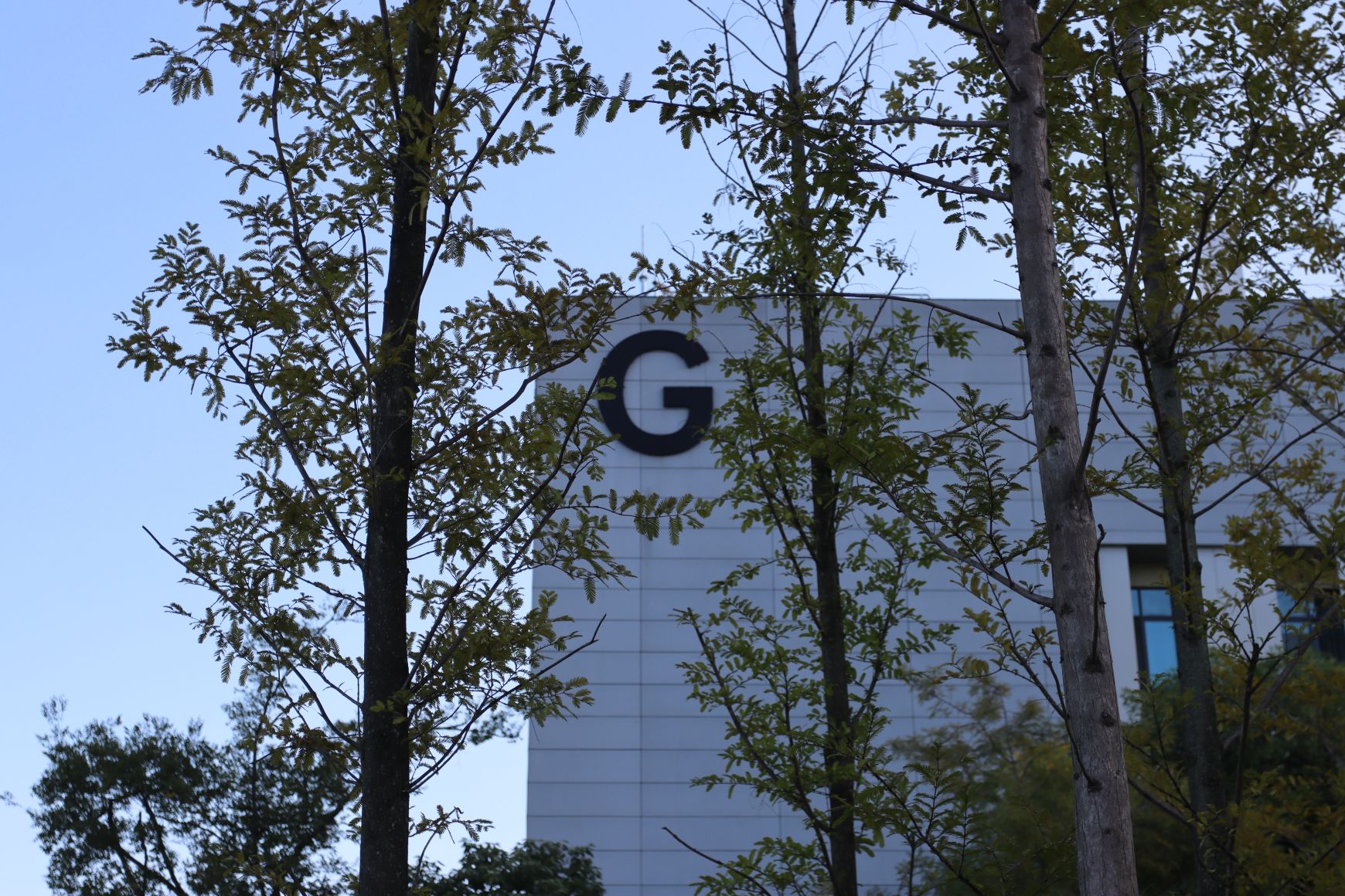 现代建筑墙面的黑色字母 G