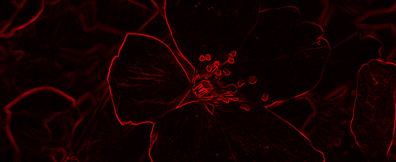 image-20220711161415453