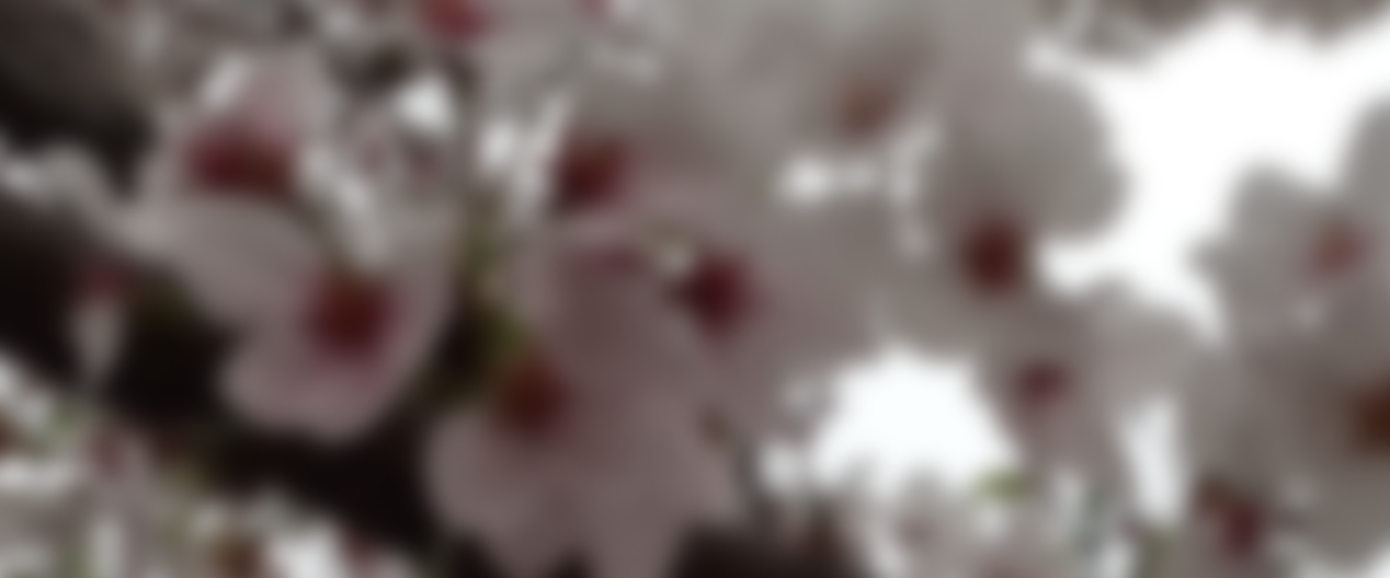 image-20220711161615368
