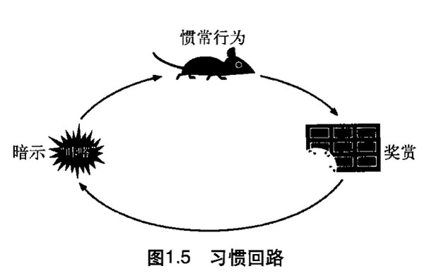 习惯回路