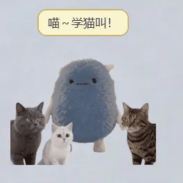变猫猫