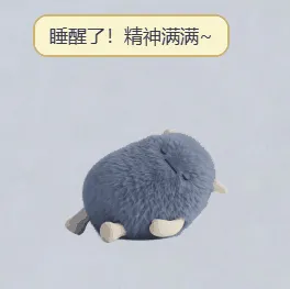睡觉