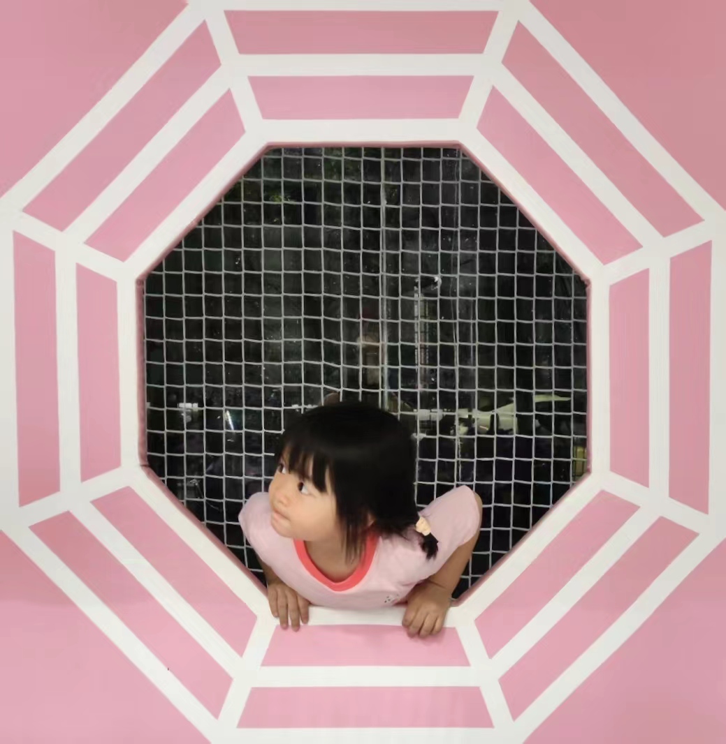 蜘蛛网&小蜘蛛